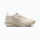Nike Pegasus trail