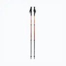 Nordic Walking