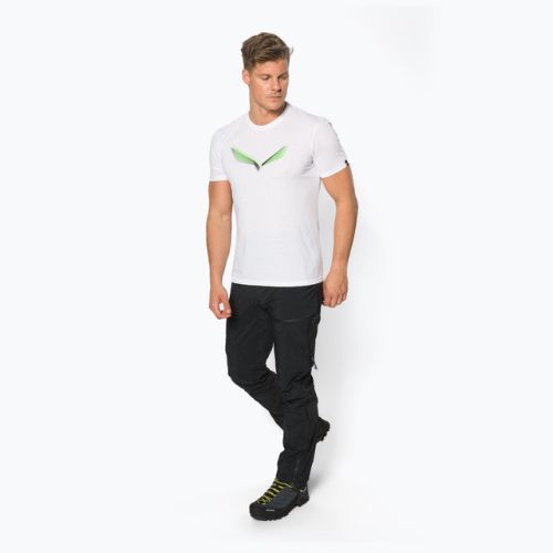 Koszulka trekkingowa męska Salewa Lines Graphic Dry optical white