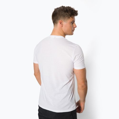 Koszulka trekkingowa męska Salewa Lines Graphic Dry optical white