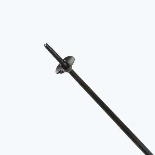 Kije narciarskie Fizan Action Pro black