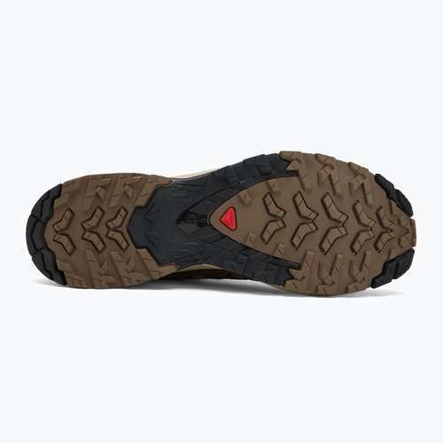 Buty do bieganie męskie Salomon XA Pro 3D V9 falcon/desert tan/black
