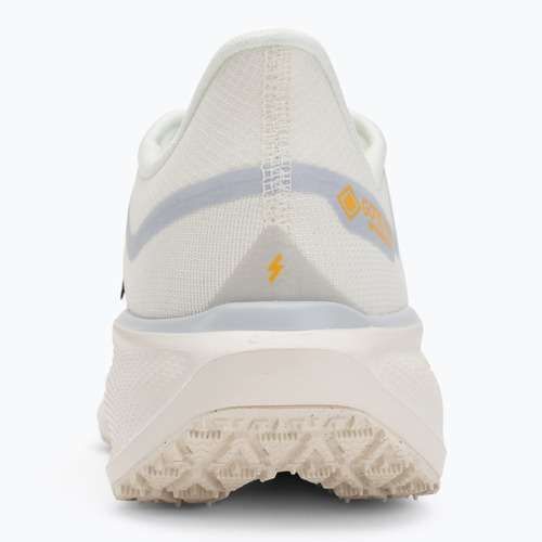 Buty do biegania męskie Nike Pegasus 41 GTX sail/football grey/sundial/ashen slate