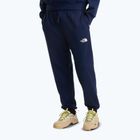 Spodnie trekkingowe męskie The North Face Simple Dome Light Regular Tapered Jogger summit navy