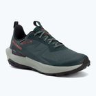 Buty turystyczne męskie Salomon Elixir Activ GTX scarab/green gable