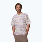 Koszulka męska Columbia CSC Heavyweight Printed Tee sea salt/horizons