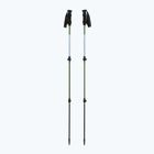 Kije trekkingowe Viking Kivi 2.0 green