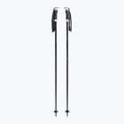 Kije narciarskie Fizan Action Pro black