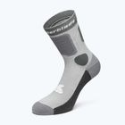 Skarpety Rollerblade Skate cool grey
