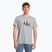 Koszulka trekkingowa męska Salewa Lines Graphic Dry heather grey