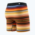 Bokserki męskie Stance Curren Boxer Brief brown 2