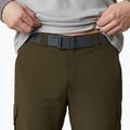 Spodnie trekkingowe męskie Columbia Silver Ridge II Convertible olive green 6