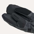 Rękawice snowboardowe męskie Dakine Titan Gore-Tex Mitt carbon 6