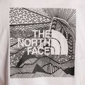 Koszulka męska The North Face Redbox Celebration white 4