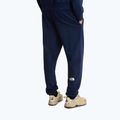 Spodnie trekkingowe męskie The North Face Simple Dome Light Regular Tapered Jogger summit navy 3