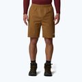 Spodenki męskie The North Face Limestone utility brown