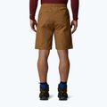 Spodenki męskie The North Face Limestone utility brown 3