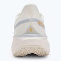 Buty do biegania męskie Nike Pegasus 41 GTX sail/football grey/sundial/ashen slate 6