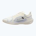 Buty do biegania męskie Nike Pegasus 41 GTX sail/football grey/sundial/ashen slate 9
