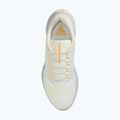 Buty do biegania męskie Nike Pegasus 41 GTX sail/football grey/sundial/ashen slate 10
