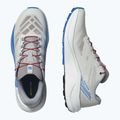 Buty do biegania męskie Salomon Pulsar lunar rock/white/french blue 8