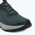 Buty turystyczne męskie Salomon Elixir Activ GTX scarab/green gable 7