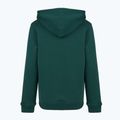 Bluza dziecięca New Balance Brush Back Small Logo Hoodie medusa green 7