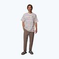 Koszulka męska Columbia CSC Heavyweight Printed Tee sea salt/horizons 2