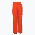 Spodnie snowboardowe dziecięce Quiksilver Estate pureed pumpkin 7