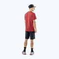 Spodenki trekkingowe męskie DYNAFIT Transalper Light Dynastretch black out/0730 3