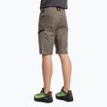 Spodenki trekkingowe męskie Salewa Lavaredo Hemp bungee cord 3