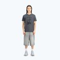 Koszulka męska Alpha Industries Hawaii vintage grey 2