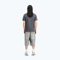 Koszulka męska Alpha Industries Hawaii vintage grey 3