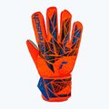Rękawice bramkarskie Reusch Attrakt Starter Grip hyper orng/elec blue 2