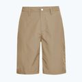 Spodenki trekkingowe męskie Jack Wolfskin Duneland hazel wood 8