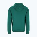 Bluza męska FILA Lutheran Hoody aventurine 5