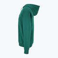 Bluza męska FILA Lutheran Hoody aventurine 6