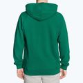 Bluza męska FILA Lutheran Hoody aventurine 2