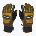 Rękawice narciarskie męskie ZIENER Guard GTX + Gore Grip PR alpine dark/brown 4