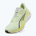 Buty do biegania męskie PUMA Electrify Nitro 4 green 10