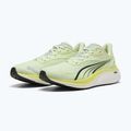 Buty do biegania męskie PUMA Electrify Nitro 4 green 11