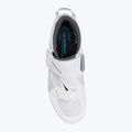 Buty szosowe męskie Shimano SH-TR501 white 6
