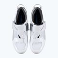 Buty szosowe męskie Shimano SH-TR501 white 14