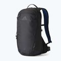 Plecak turystyczny Gregory Kiro 20 l RC alpine black