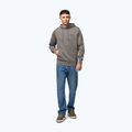 Bluza męska Pitbull Sampson Hooded Sweatshirt taupe 2