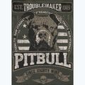Bluza męska Pitbull Troublemaker Hooded Sweatshirt old green 9