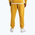 Spodnie męskie Pitbull Lancaster 2 Track Pants washed yellow 3