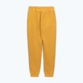 Spodnie męskie Pitbull Lancaster 2 Track Pants washed yellow 7