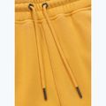 Spodnie męskie Pitbull Lancaster 2 Track Pants washed yellow 8
