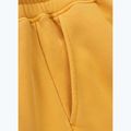 Spodnie męskie Pitbull Lancaster 2 Track Pants washed yellow 10